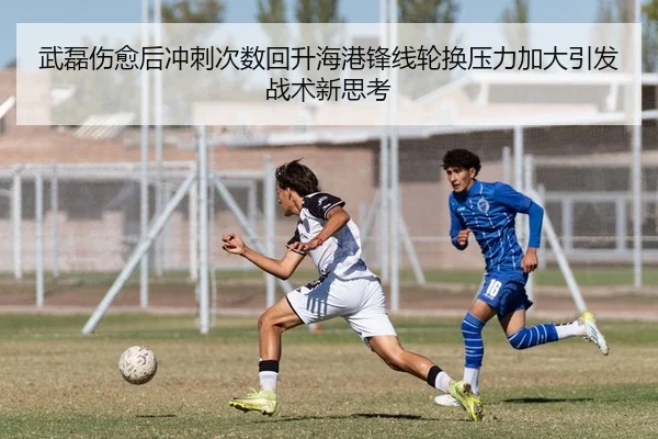 武磊伤愈后冲刺次数回升海港锋线轮换压力加大引发战术新思考 | YaBoSports